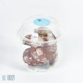 Vaso Galleta Chocopistacho X6 | Galletas | Repostería